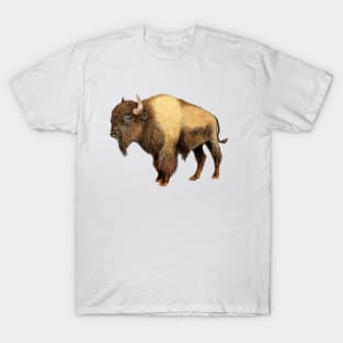 Bison T-Shirt